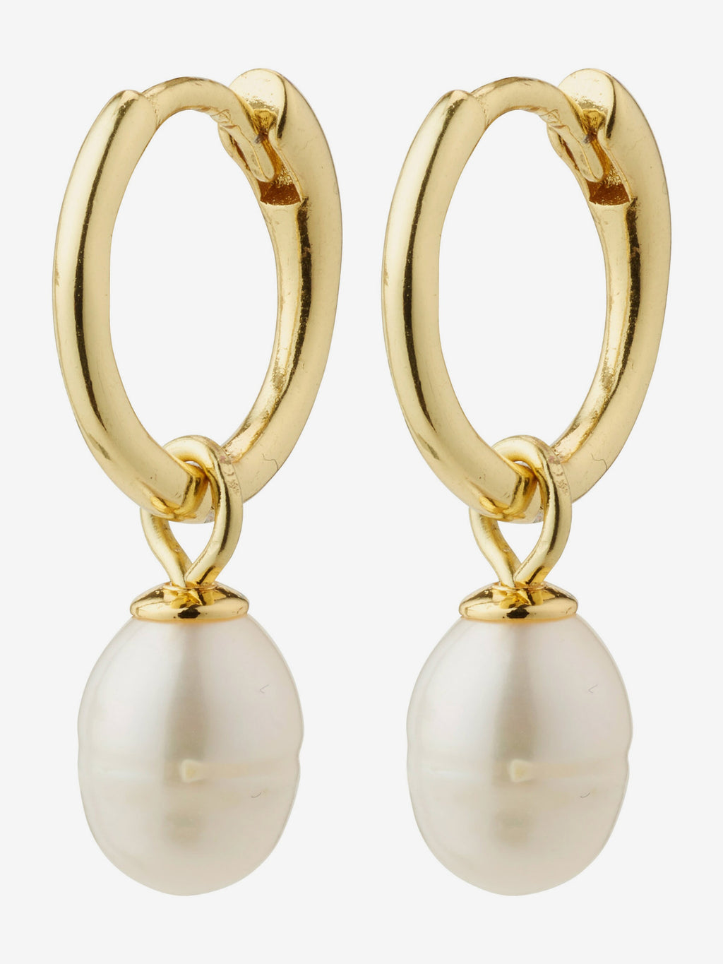 Pendientes Pilgrim
